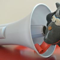 Teaser für Erste Hilfe Phonetik